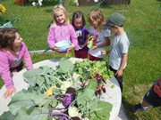 Zahradničíme ve školce